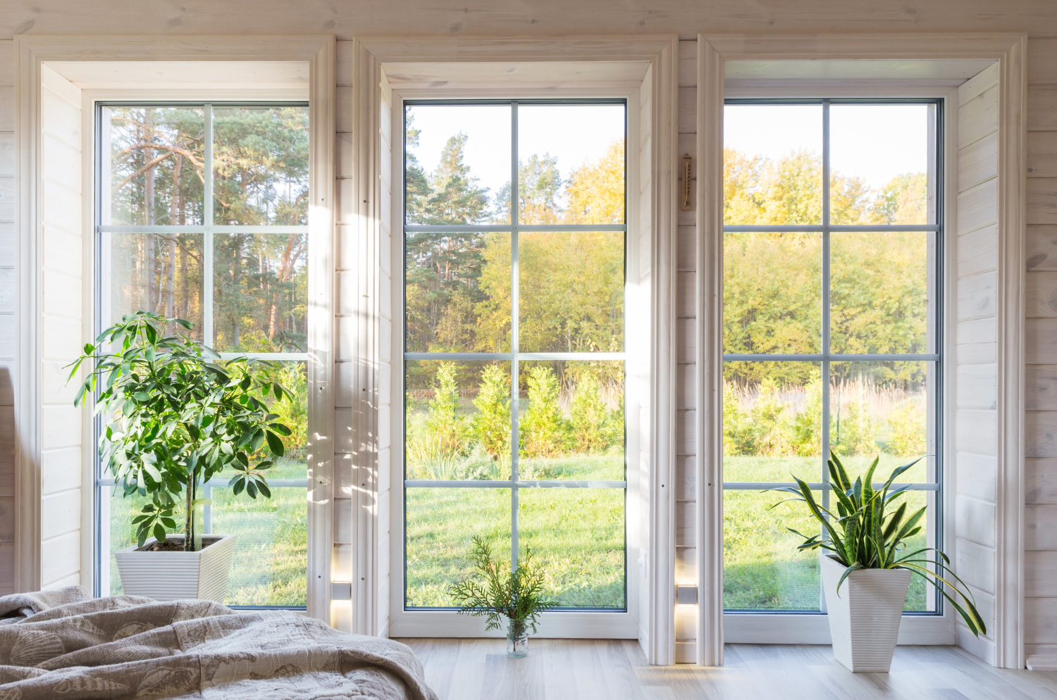 fenêtre pvc